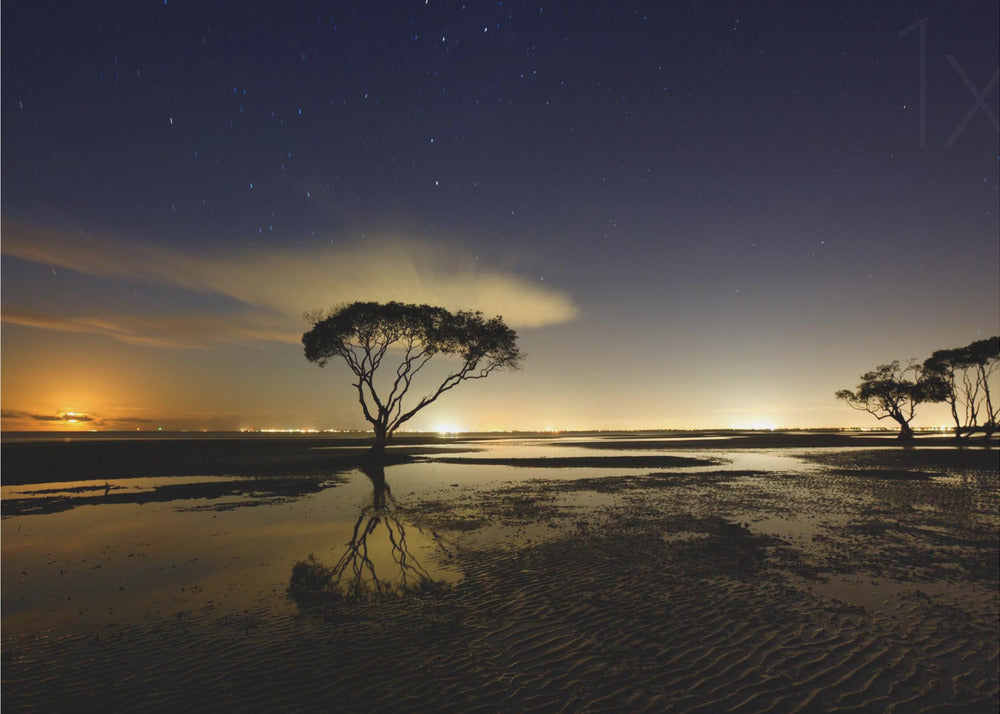 Kuunnousu | Julisteet - Taidevedokset