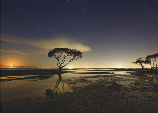 Wschód księżyca | Plakaty - Wydruki Artystyczne