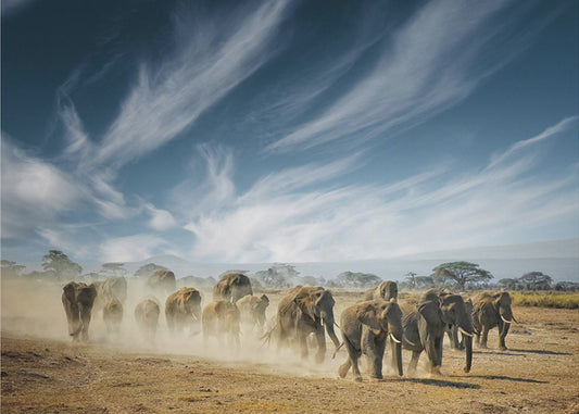 Bardzo długie myślenie | Plakaty - Wydruki Artystyczne