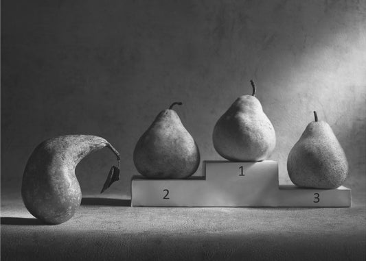 El perdedor Posters  - Impresiones de Arte