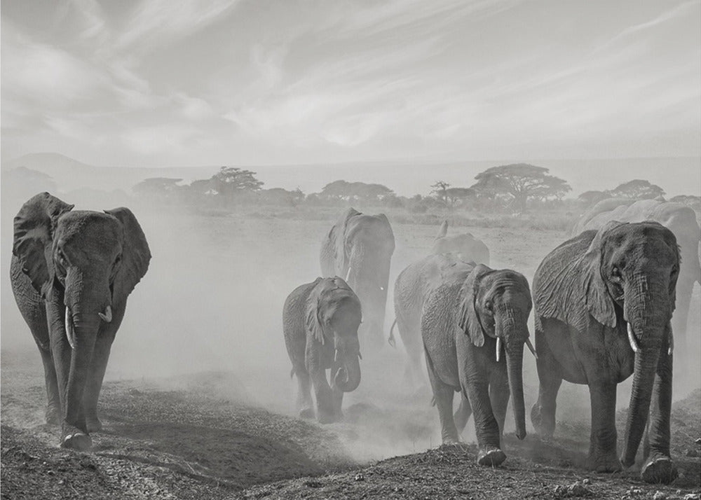 Tunnejärjestys | Valokuvatapetit