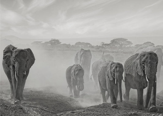 Tunnejärjestys | Valokuvatapetit