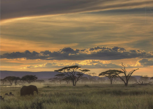 Afryka | Plakaty - Wydruki Artystyczne