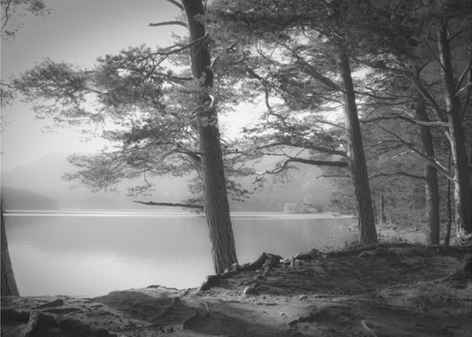 Loch an Eilean | Fototapeten