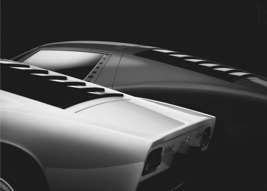 2 Miura | Impresiones en Lienzo