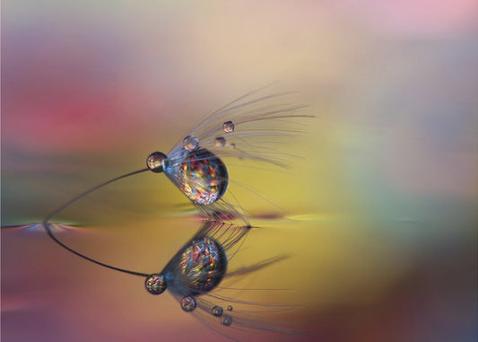 Väritä pimeys | Julisteet - Taidevedokset