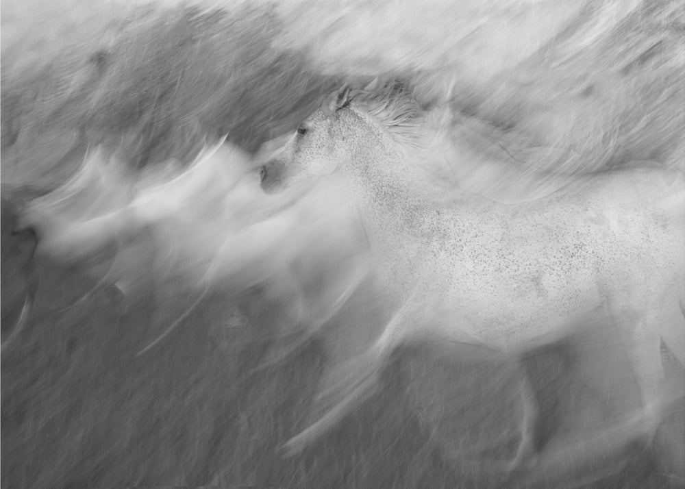 Mystisches Weiß | Leinwand-Bilder