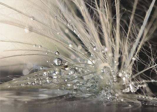 Helmet | Julisteet - Taidevedokset