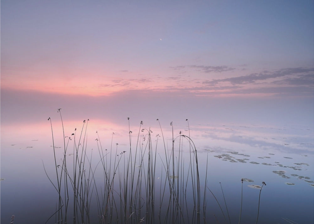 Järvi | Julisteet - Taidevedokset