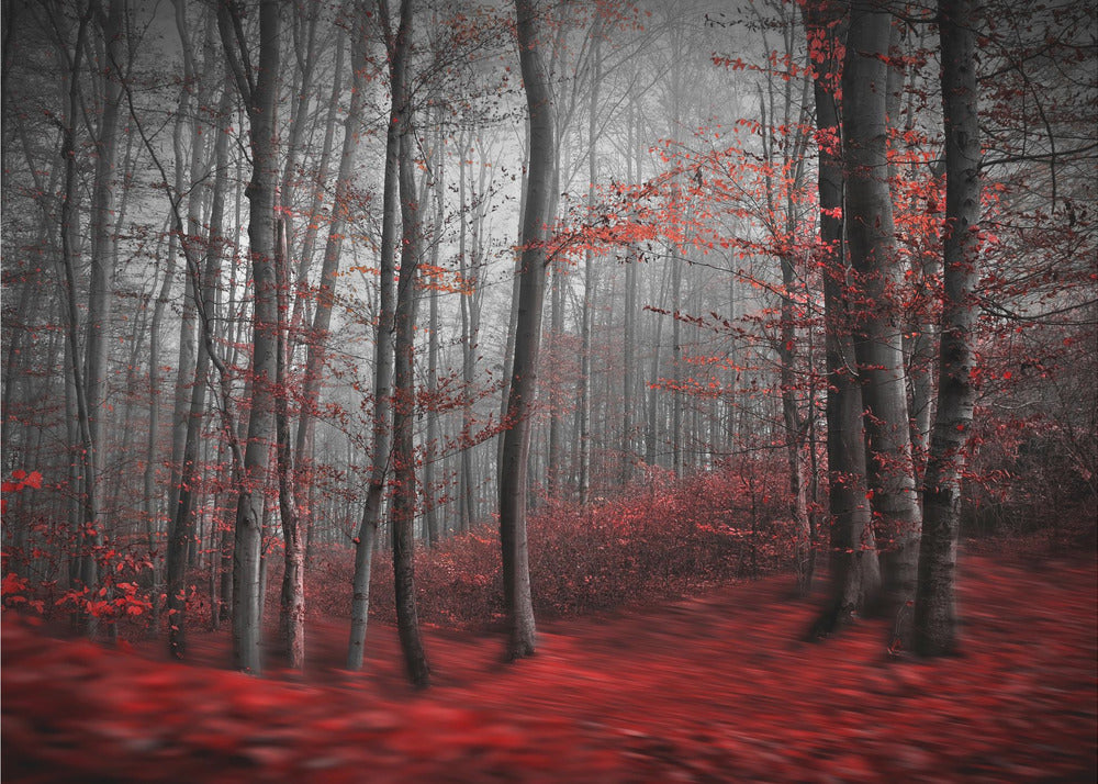 Blutiger Fluss | Fototapeten