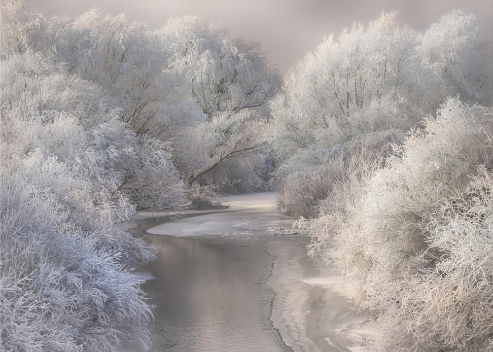 Talvilaulu | Valokuvatapetit