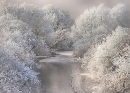 Winterlied | Fototapeten