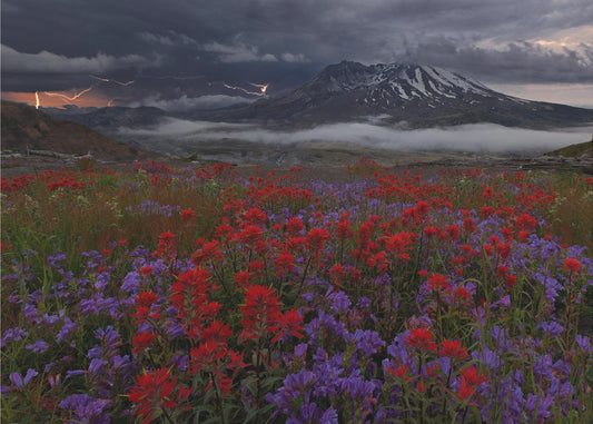 Apokalypsi nyt | Valokuvatapetit