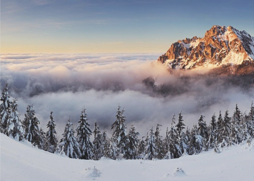 Kultainen huippu | Valokuvatapetit