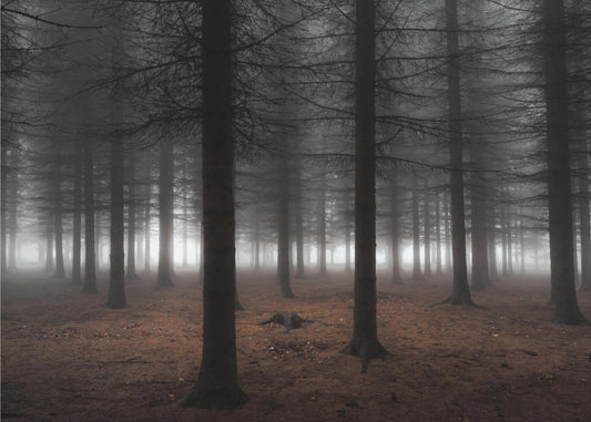 Hiljaisuus | Julisteet - Taidevedokset