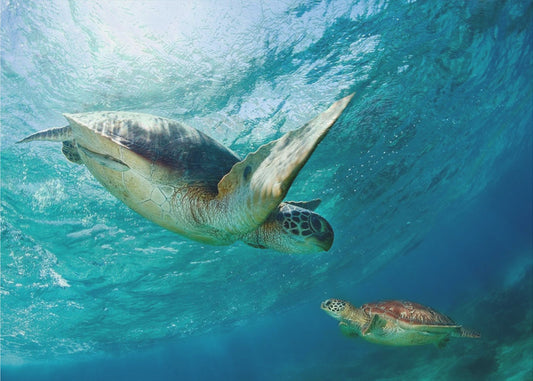 Kontakt | Fototapeten