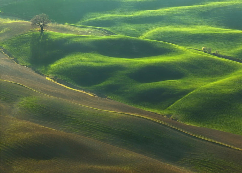 Eiche... | Fototapeten