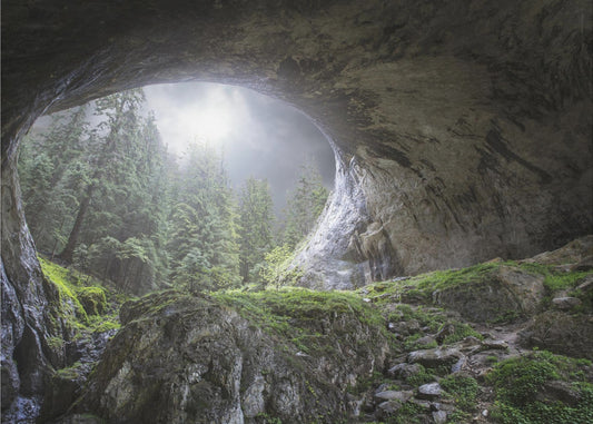 Blick in den Himmel | Fototapeten