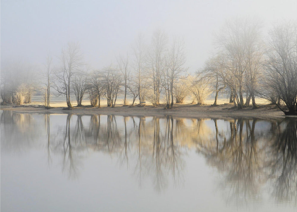 january morning | Poster
