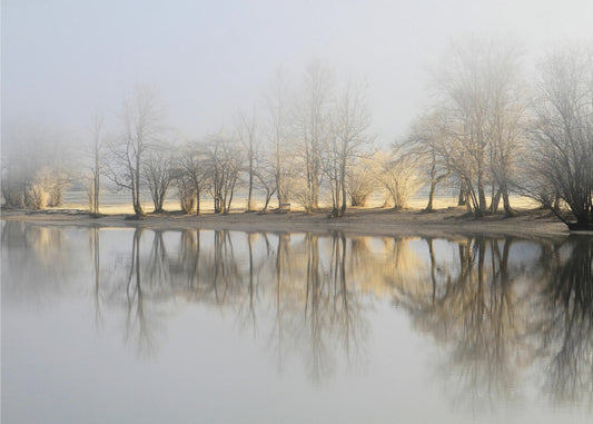 Januarmorgen | Fototapeten