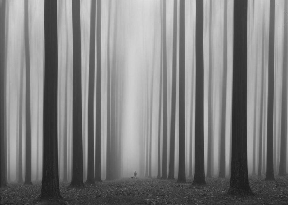 Labyrintti | Julisteet - Taidevedokset