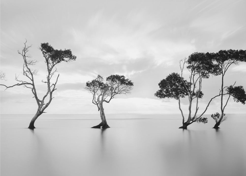 Hukkuminen, ei heiluttaminen | Valokuvatapetit