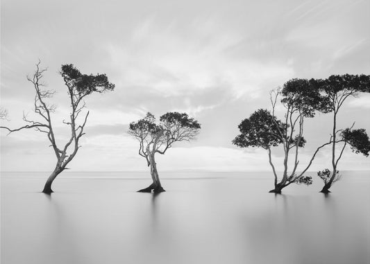 Ertrinken, nicht winken | Fototapeten