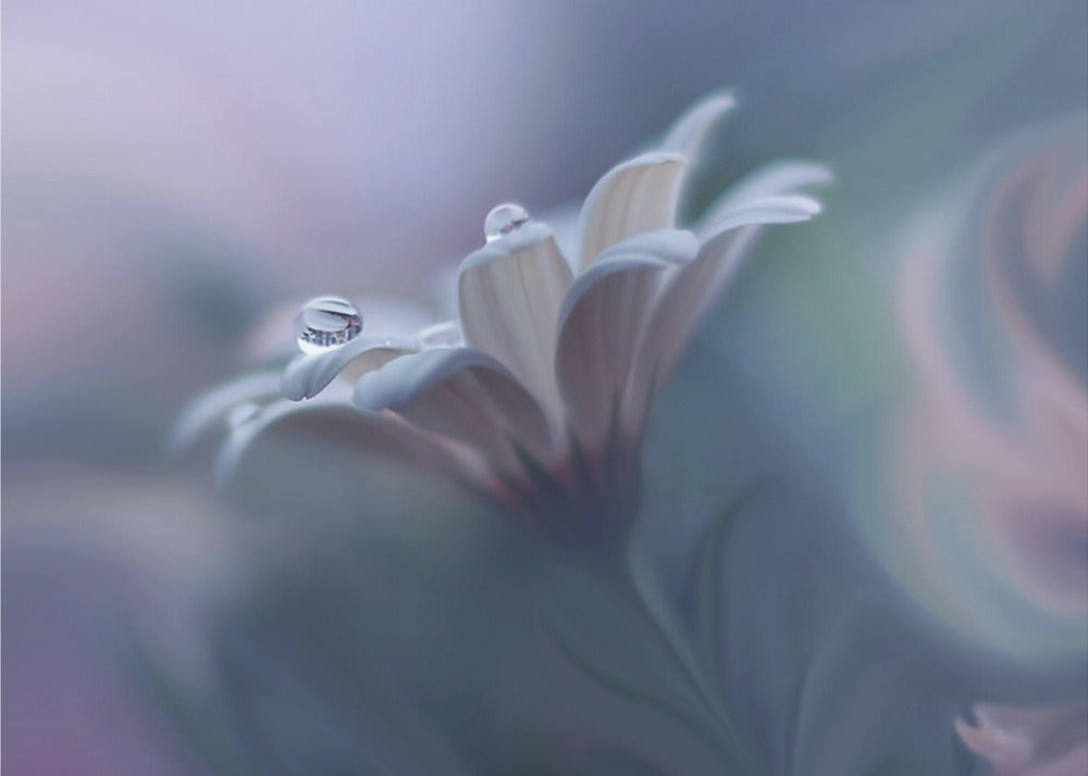 Hinter geschlossenen Augen... | Poster - Kunstdruck