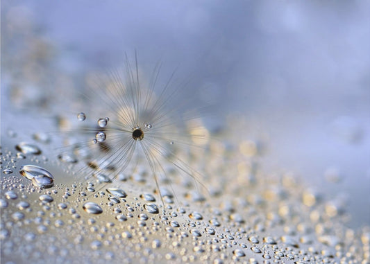 Ryömimässä alas | Julisteet - Taidevedokset