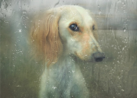 Tuo syksy... | Canvastaulut