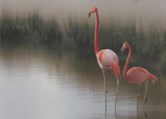 se oli niin... | Julisteet - Taidevedokset