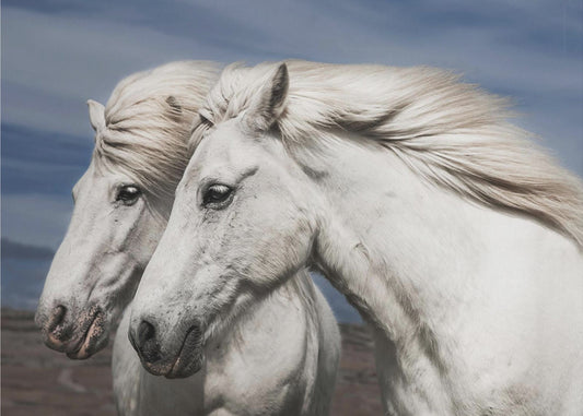 Puhaltaa | Julisteet - Taidevedokset