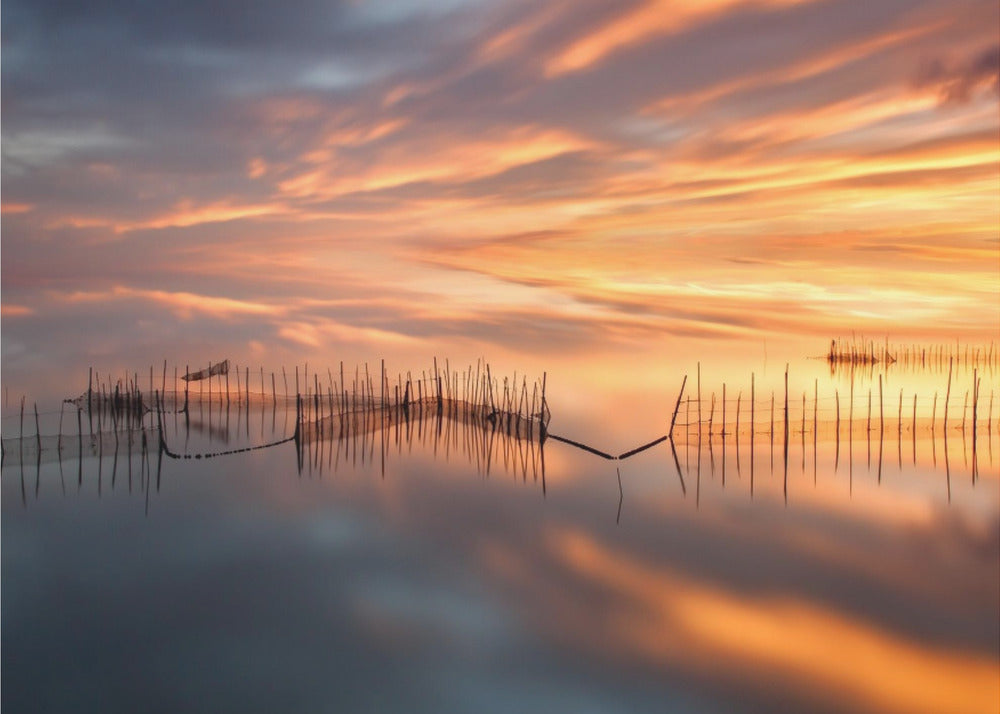 Kalaverkot | Valokuvatapetit