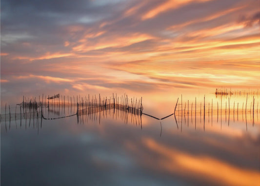 Kalaverkot | Valokuvatapetit