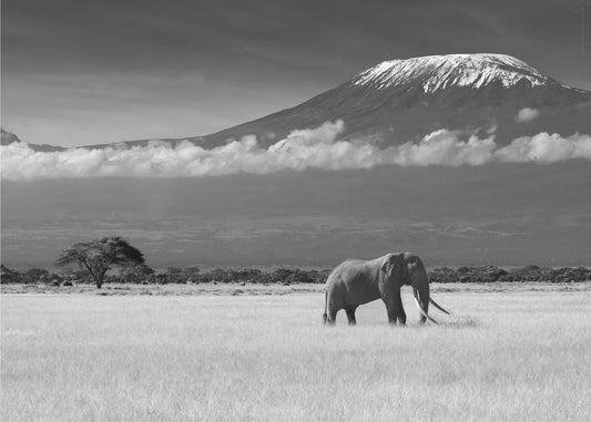 Kadonneet värit II | Valokuvatapetit