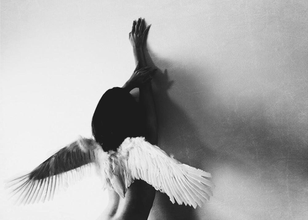 ei lennä | Julisteet - Taidevedokset