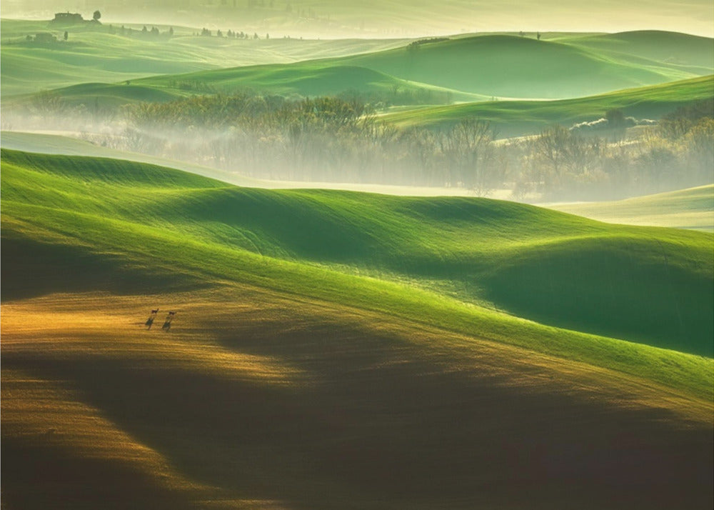 Vapaus... | Valokuvatapetit