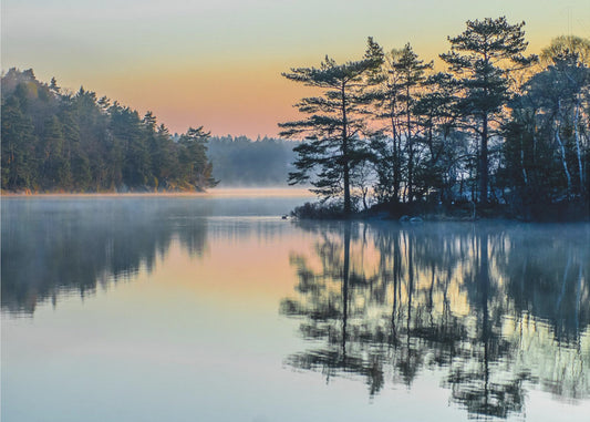 Ennen kuin ihmiset heräävät | Julisteet - Taidevedokset