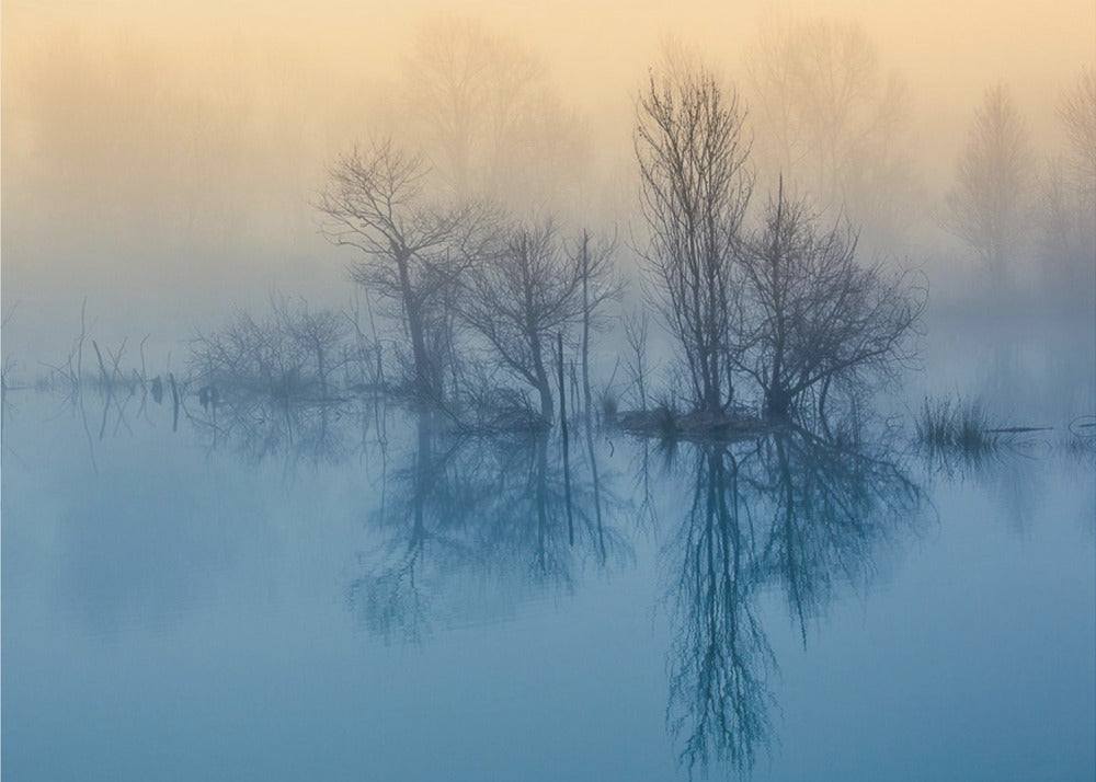Aamun heijastus | Julisteet - Taidevedokset