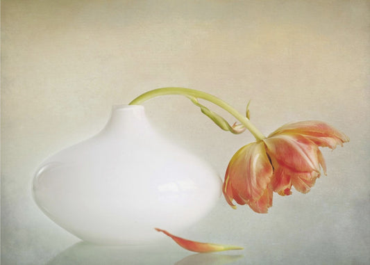 2huuli | Valokuvatapetit