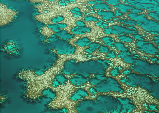 Gondwana | Julisteet - Taidevedokset