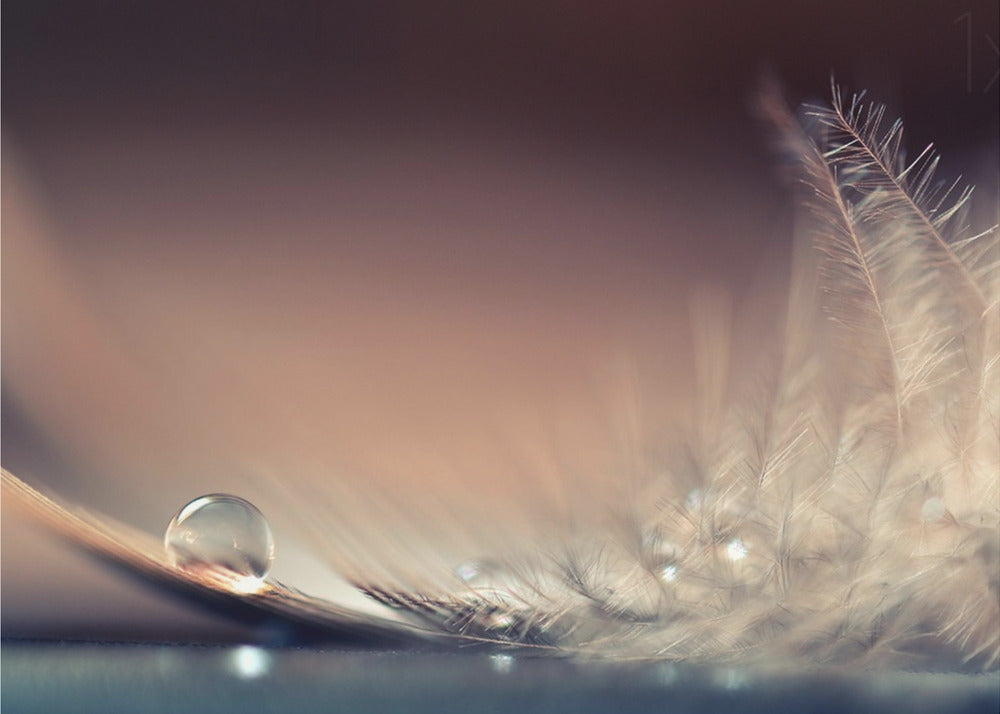Stories of Drops | Poster