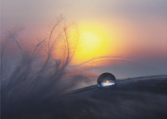 Aamu | Julisteet - Taidevedokset