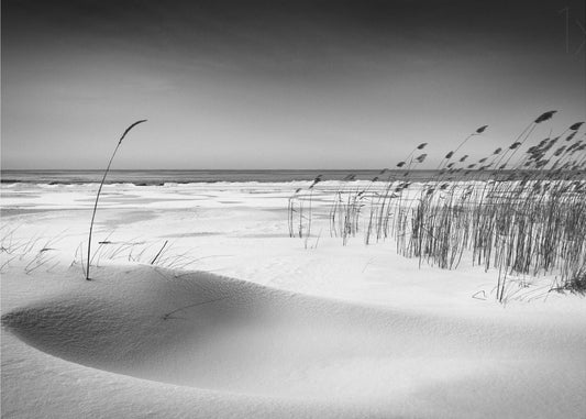 Orchester | Fototapeten