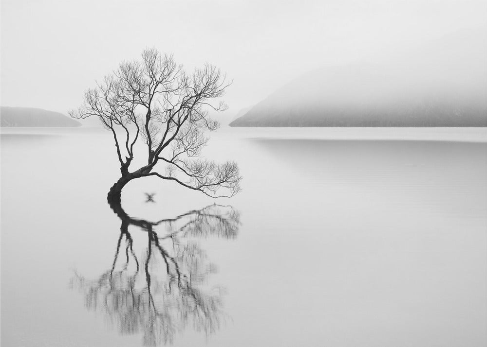 Gelassenheit | Fototapeten