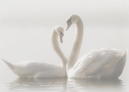 Ikuisesti | Julisteet - Taidevedokset