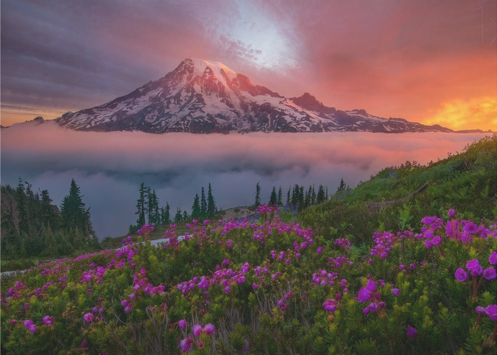 Hetki ajassa | Valokuvatapetit