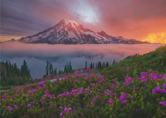 Hetki ajassa | Valokuvatapetit