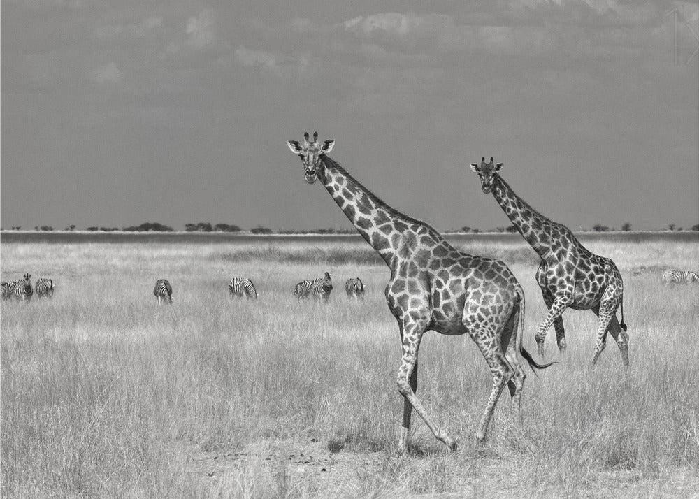 Touristen geben aus | Poster - Kunstdruck