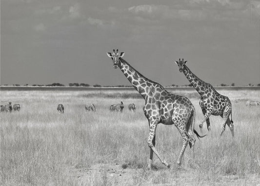 Touristen geben aus | Poster - Kunstdruck